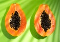 Papaya fruit on tropical green background with shadows of palm tree. Halved fresh organic Papayas