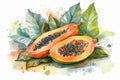 Papaya fruit watercolor. Generate Ai Royalty Free Stock Photo