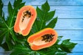 Papaya fruits on blue backgroud, fresh ripe papaya slice cut in half tropical fruit with papaya seed and leaf leaves from papaya Royalty Free Stock Photo