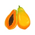 Papaya fruits.Papaya whole and half.Ripe, healthy fruits.