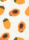 Papaya fruits seamless pattern on white background with seed, Fresh organic food, Tropical fruit vector Royalty Free Stock Photo