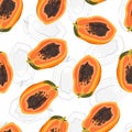 Papaya fruits seamless pattern on white background with sketch drawing, Fresh organic food, Tropical fruit vector Royalty Free Stock Photo