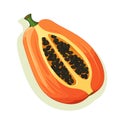 Papaya icon. Papaya image isolated. Sliced papaya in flat design