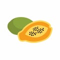 Papaya icon vector image. Royalty Free Stock Photo