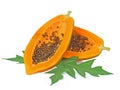 Papaya isolated on white backgroound. Royalty Free Stock Photo
