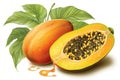 papaya isolated on white background. Generated by AI Royalty Free Stock Photo