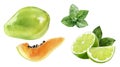 Papaya lime mint watercolor illustration isolated on white background Royalty Free Stock Photo