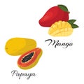 Papaya and mango. Ripe natural product. Vector