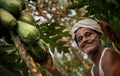 Papaya farmer in kerala