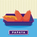 Papaya on the plastic food packaging tray wrapped with polyethylene. Vector illustration Royalty Free Stock Photo