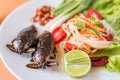 Lethocerus indicus and Green Papaya Salad,