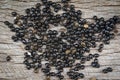 Papaya seed fruit for planting on wooden Royalty Free Stock Photo