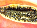 papaya seeds and pieces of papaya fruit on a white background