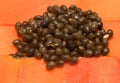 Papaya seeds for planting