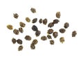 Papaya Seeds on White Background