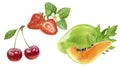 Papaya strawberry cherry watercolor illustration isolated on white background