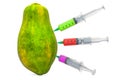 Papaya with a syringes full of chemicals. Genetic Food Modification, concept. 3D rendering