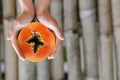 Papaya, tropic fruit, slice, peace, half, hands Royalty Free Stock Photo