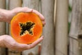 Papaya, tropic fruit, slice, peace, half, hands Royalty Free Stock Photo