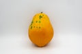 Papaya white background