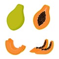 Papaya, whole fruit, half and slices. Vector illustration