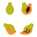 Papaya, whole fruit, half, slices. Vector illustration