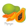 Papaya whole and half. Papaw, or pawpaw ediable exotic fruit. Royalty Free Stock Photo