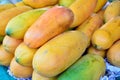 Papayas on display