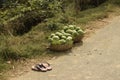 Green papayas full of wicker baskets and a pair of sleepers