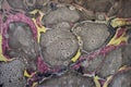 Textura de papel de mÃÂ¡rmol con grises, amarillos y rosados