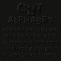 Paper alphabet with cut letters