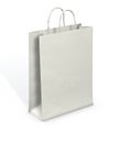 Blank Paper Bag. Clipping path Royalty Free Stock Photo