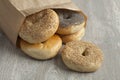 Paper bag with fresh bagels Royalty Free Stock Photo