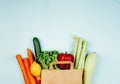 Paper bag with fresh ripe organic vegetables Royalty Free Stock Photo