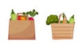 Paper Bag Full of Fresh Vegetable from Greengrocery Vector Set