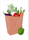 paper bag full of healthy vegetables Royalty Free Stock Photo