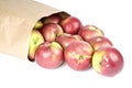 Paper Bag Full of Macintosh Apples on Its Side Royalty Free Stock Photo