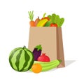 Paper bag full of natural organic vegetables and fruits. Beautiful composition with watermelon, zucchini, pomegranate, eggplant,