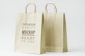 Paper bag mockup isolated background Royalty Free Stock Photo