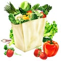 Paper bag with organic healthy food, grocery shopping bag and fresh vegetables, vegetarian concept, isolated, hand drawn