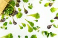 Paper bag spill green leafy vegetables salad on white Royalty Free Stock Photo