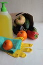 A paper bag is on with vegetables and fruit, a bottle of disinfectant, gloves and rags.