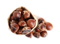 Paper bag with tasty roasted edible chestnuts on white background, top view Royalty Free Stock Photo