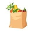 Paper bag with vegetables. Groceries Royalty Free Stock Photo