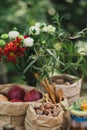 Paper bags with nuts, hazelnuts, red apples and a green bouquet Royalty Free Stock Photo