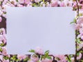 Paper blank between flowering almond branches in blossom. Pink flowers as a frame