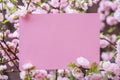 Paper blank between flowering almond branches in blossom. Pink flowers as a frame