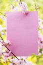 Paper blank between flowering almond branches in blossom. Pink flowers as a frame