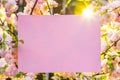 Paper blank between flowering almond branches in blossom. Pink flowers as a frame