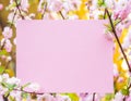 Paper blank between flowering almond branches in blossom. Pink flowers as a frame